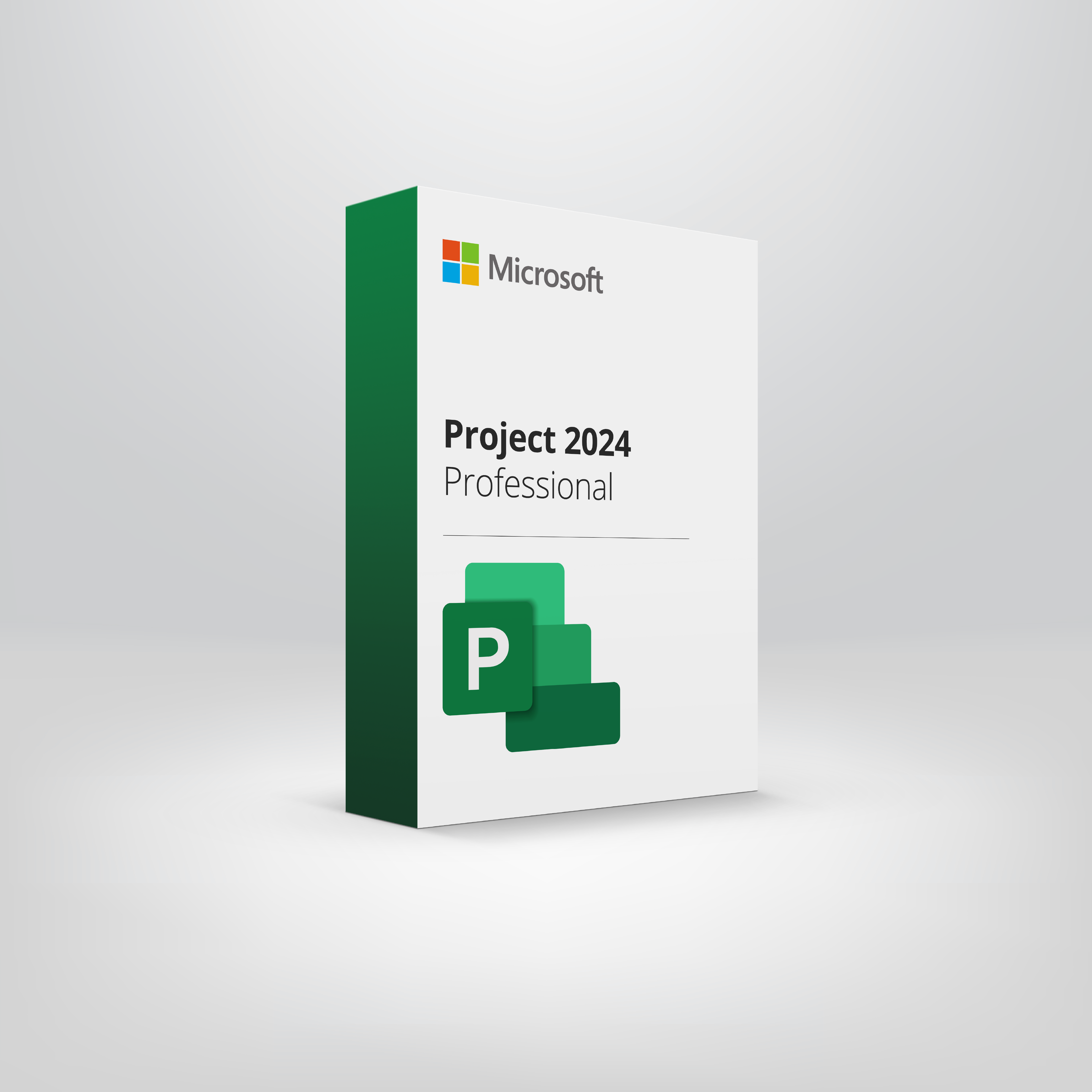 Project Professional 2024 "Licencia Perpetua 100% original"