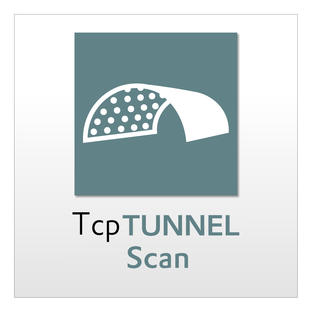 TCP TUNNEL SCAN ANUAL