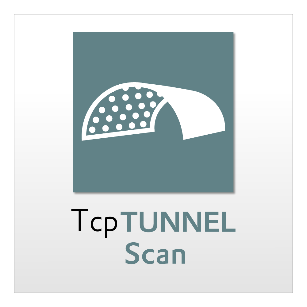 TCP TUNNEL SCAN PERPETUO