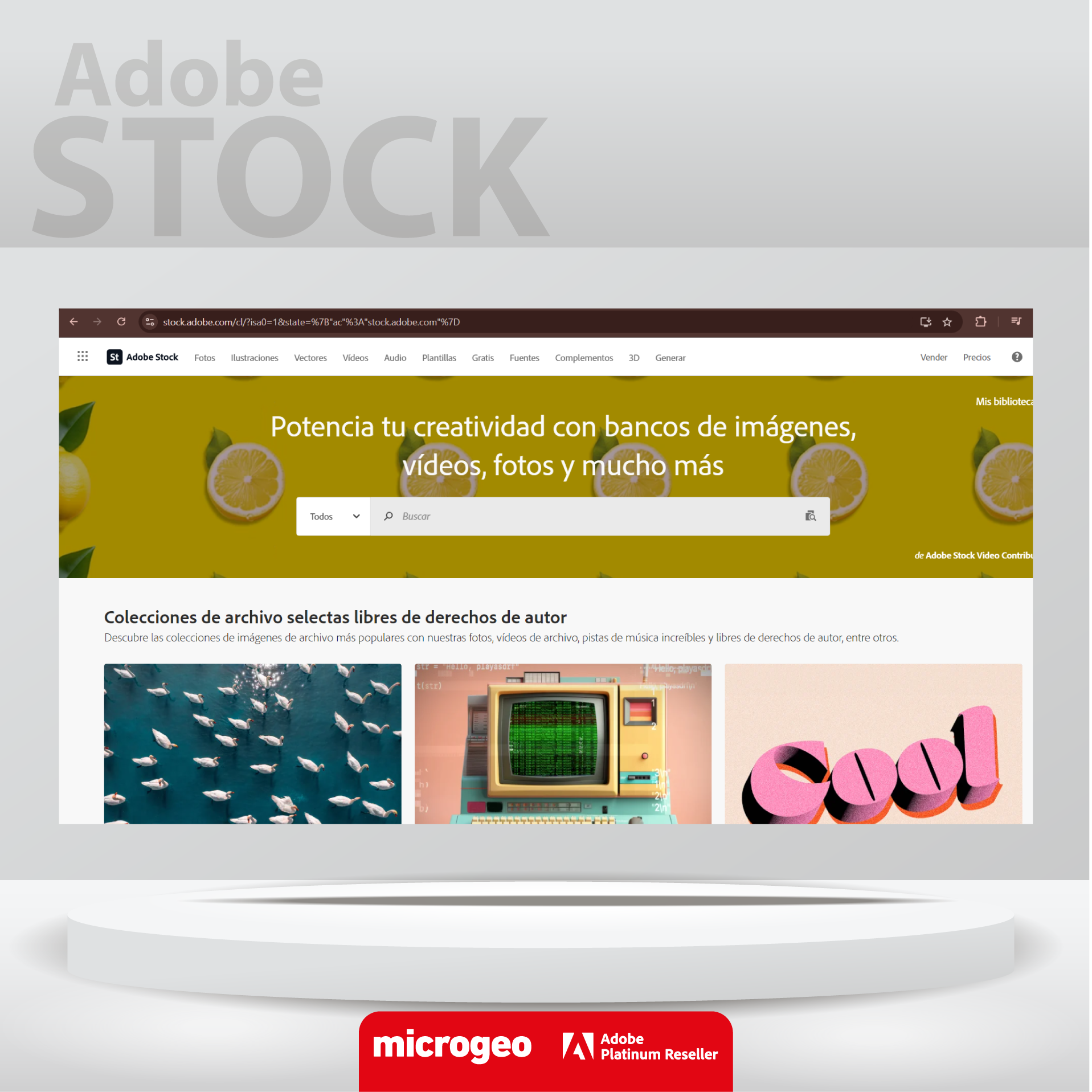 Adobe Stock (Small) / Imágenes y recursos creativos libres de derechos / Licencia 100% original
